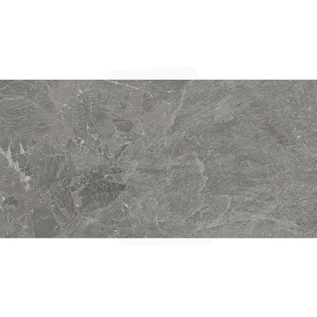 Rhythm Silver Matt Medium Grey Stone Look 300/600/1200mm Tile