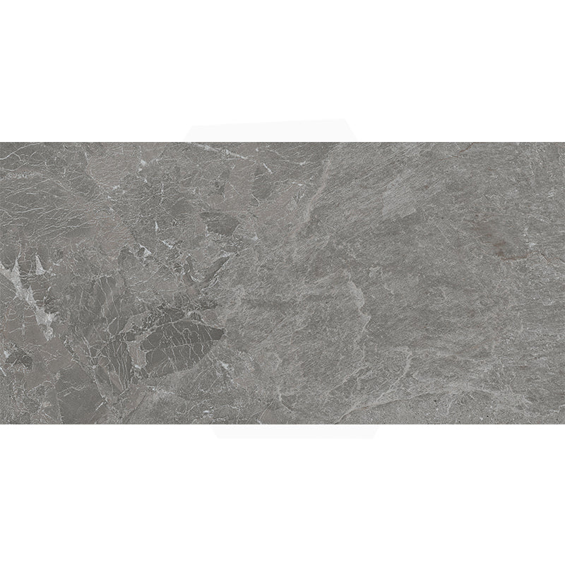 Rhythm Silver Matt Medium Grey Stone Look 300/600/1200mm Tile