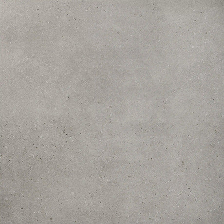 Armani Light Grey Concrete Look 300/600/1200mm Matt In&Out Tile