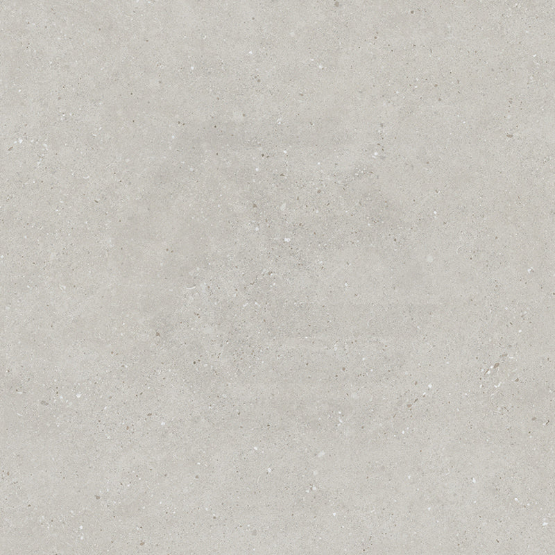Armani Light Grey Concrete Look 300/600/1200mm Matt In&Out Tile