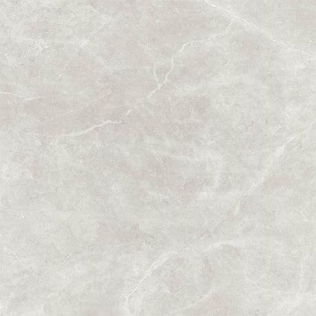 Bulgaria Light Grey Matt Marble Look 300/600/1200mm Tile