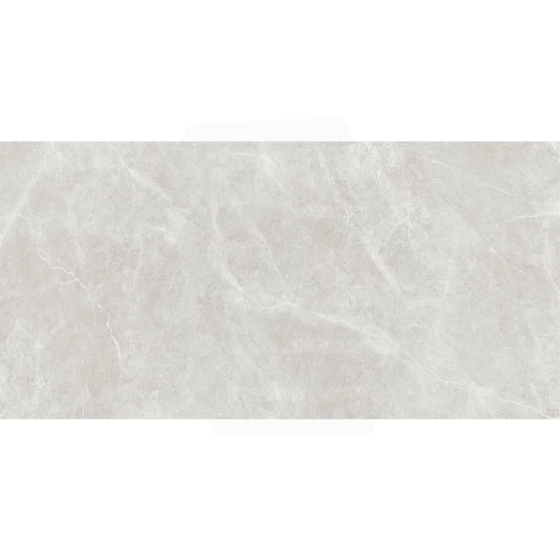 Bulgaria Light Grey Matt Marble Look 300/600/1200mm Tile