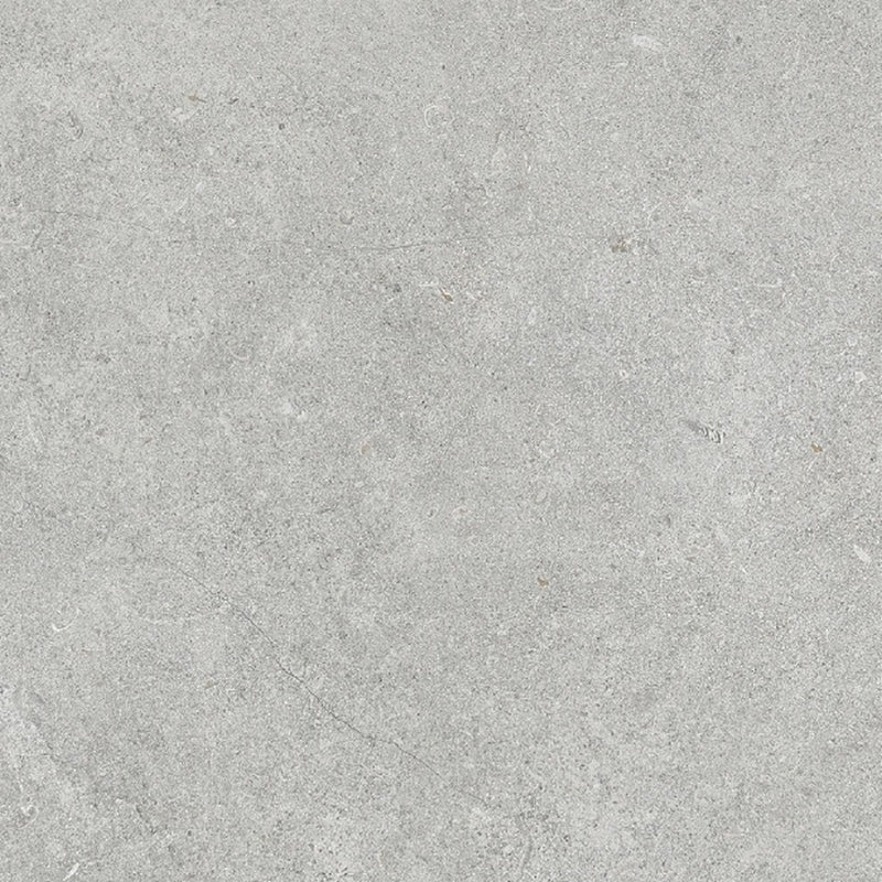Fosilime Medium Grey Matt Stone Look 300/600/1200mm Tile