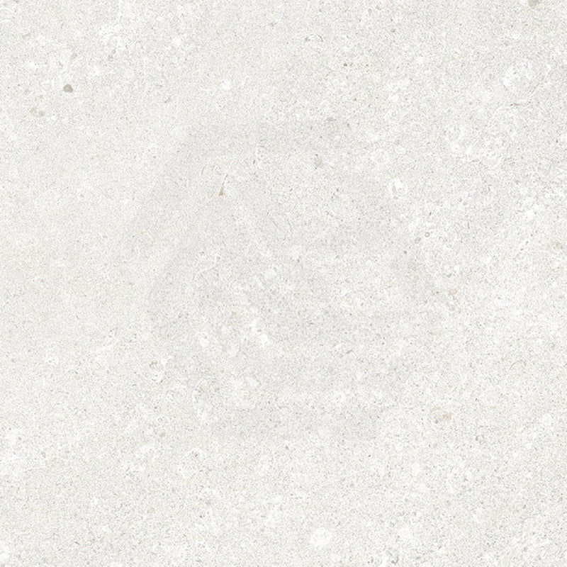 Fosilime White Matt Light Grey Stone Look 300/600/1200mm Tile