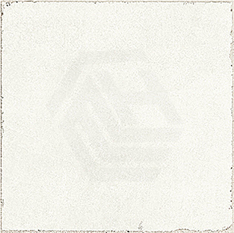 Valencia Blanco White Matt Subway Tile 200×200mm