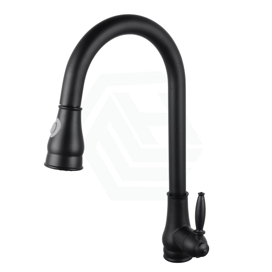 Black Vintage 360° Swivel Pull Out Kitchen Sink Mixer