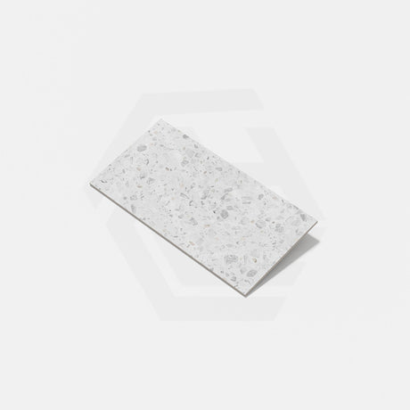 Agglo Lido Matt Terrazzo Look 300/600/1200mm Tile