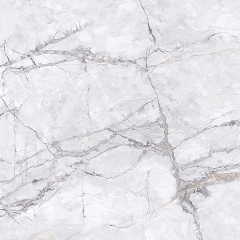 Elite Marble Invisible Grigio Matt Marble Look 600x600mm Tile