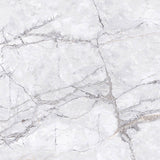 Elite Marble Invisible Grigio Matt Marble Look 600x600mm Tile