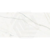 Euromarmo Calacatta Marble Look Honed 300/600/1200mm Tile