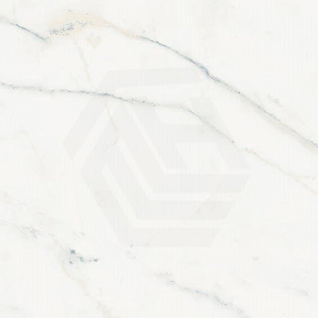 Euromarmo Calacatta Marble Look Honed 300/600/1200mm Tile