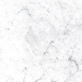 Euromarmo Carrara Venatino Honed Marble Look 300/600/1200mm Tile
