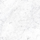 Euromarmo Carrara Venatino Honed Marble Look 300/600/1200mm Tile