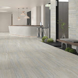 Euromarmo Travertine Silver Gold Matt Stone Look 300/600/1200mm Tile