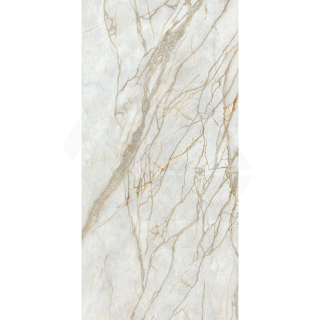 Marine Nature Marble Look Natural Finish 600/1200mm Tile