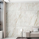 Marine Nature Marble Look Natural Finish 600/1200mm Tile