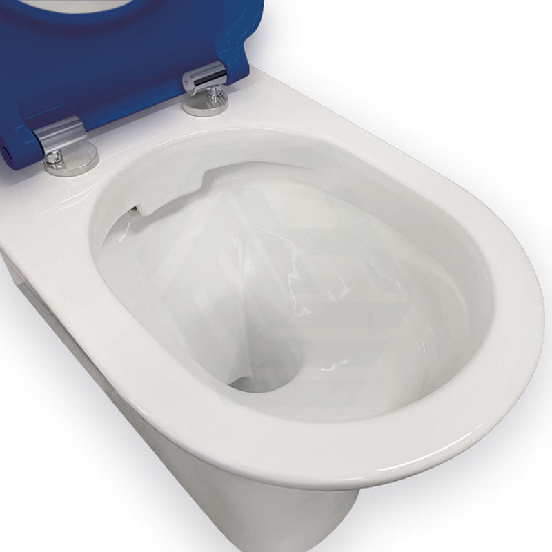 Fienza 800x365x875mm Delta Care Back to Wall Toilet Suite
