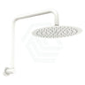 Fienza Kaya Matt White Gooseneck Shower Arm Set