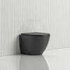 Fienza Koko Rimless Flush Matt Black Wall - Faced Toilet Pan For Bathroom Wall Floor Pans