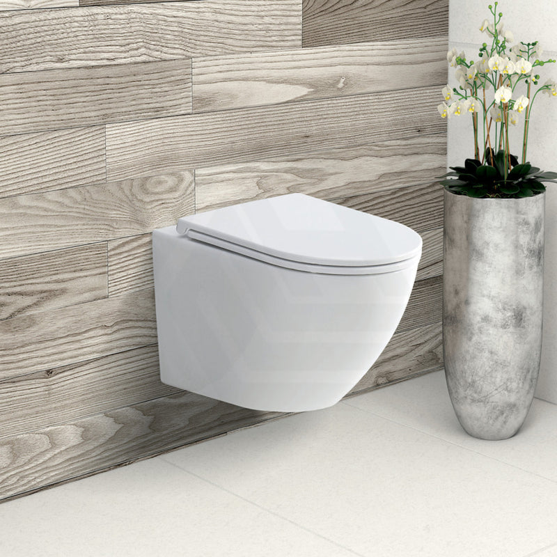 Fienza Koko Tornado Rimless Matt White Wall Hung Toilet Pan For Bathroom Pans