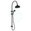 Fienza Lillian Matt Black Twin Shower Top Water Inlet Showers