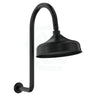 Fienza Lillian Matt Black Wall Arm Shower Set