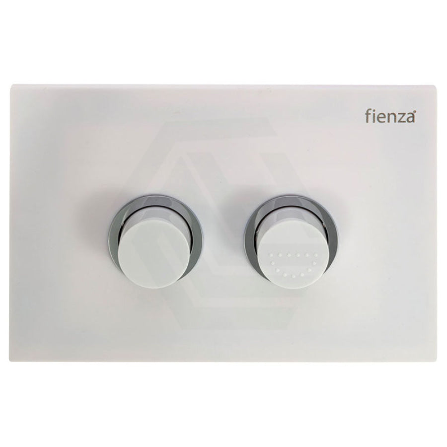Fienza R&T Pneumatic In-Wall Cistern For Wall-Faced Pans Button Toilet Inwall