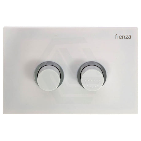Fienza R&T Pneumatic In-Wall Cistern For Wall-Faced Pans Button Toilet Inwall
