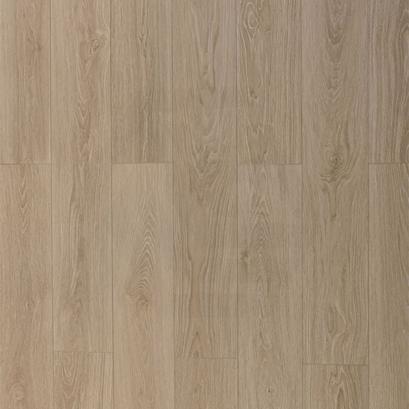 Oakstep Laminate Flooring Bondi 1520x196x12mm