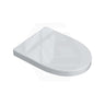 Fienza UF Soft Close Universal Toilet Seat - Gloss Grey / Blue