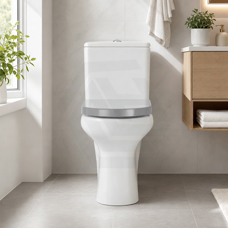 Fienza UF Soft Close Universal Toilet Seat - Gloss Grey / Blue