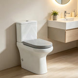 Fienza UF Soft Close Universal Toilet Seat - Gloss Grey / Blue