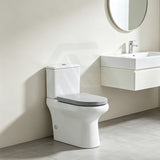 Fienza UF Soft Close Universal Toilet Seat - Gloss Grey / Blue