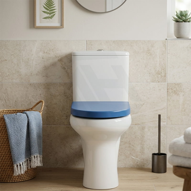 Fienza UF Soft Close Universal Toilet Seat - Gloss Grey / Blue