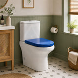 Fienza UF Soft Close Universal Toilet Seat - Gloss Grey / Blue