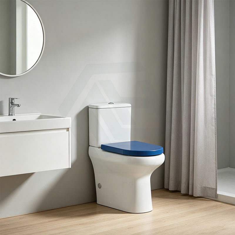Fienza UF Soft Close Universal Toilet Seat - Gloss Grey / Blue