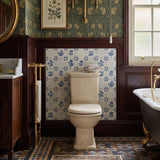 RAK Washington Close-Coupled Toilet Suite Vintage Boxed Rim Pan - Ivory