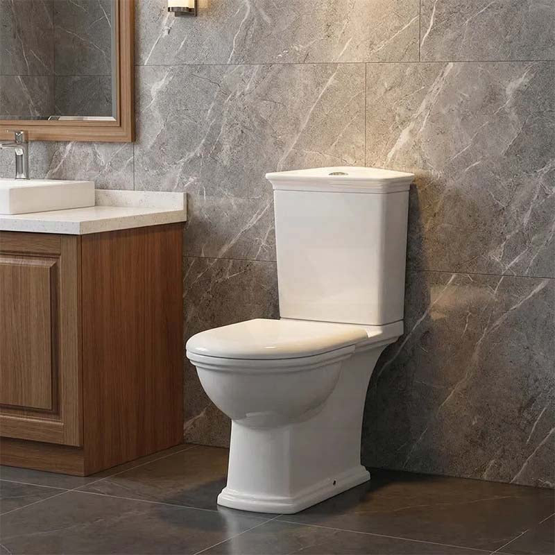 RAK Close-Coupled Toilet Suite Boxed Rim S-Trap Only - Washington White