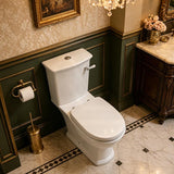 RAK Washington Front Lever Close-Coupled Toilet Suite Boxed Rim Pan P-Trap or S-Trap Available - Alpine White