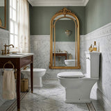 RAK Washington Front Lever Close-Coupled Toilet Suite Boxed Rim Pan P-Trap or S-Trap Available - Alpine White