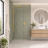 Fienza Arch Frameless Walk-in Fixed Panel 10mm Glass 700-1200x2200mm - Variant Colour Fittings
