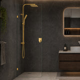 Fienza Rectangular Frameless Walk-in Fixed Panel 10mm Glass 700-1200x2050mm - Variant Colour Fittings