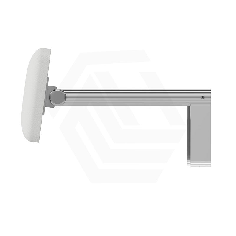 Fienza Stainless Steel Back Rest For Accessible Toilet Suites Variant Colour Available