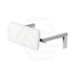 Fienza Stainless Steel Back Rest For Accessible Toilet Suites Variant Colour Available