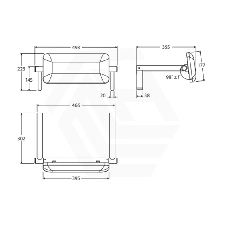 Fienza Stainless Steel Back Rest For Accessible Toilet Suites Variant Colour Available