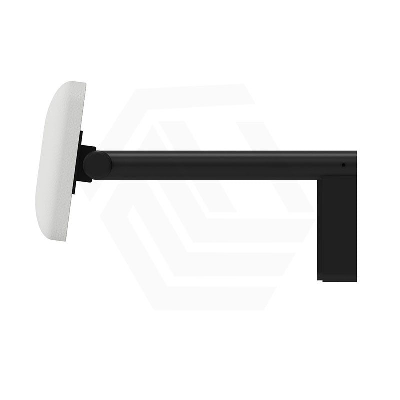 Fienza Stainless Steel Back Rest For Accessible Toilet Suites Variant Colour Available