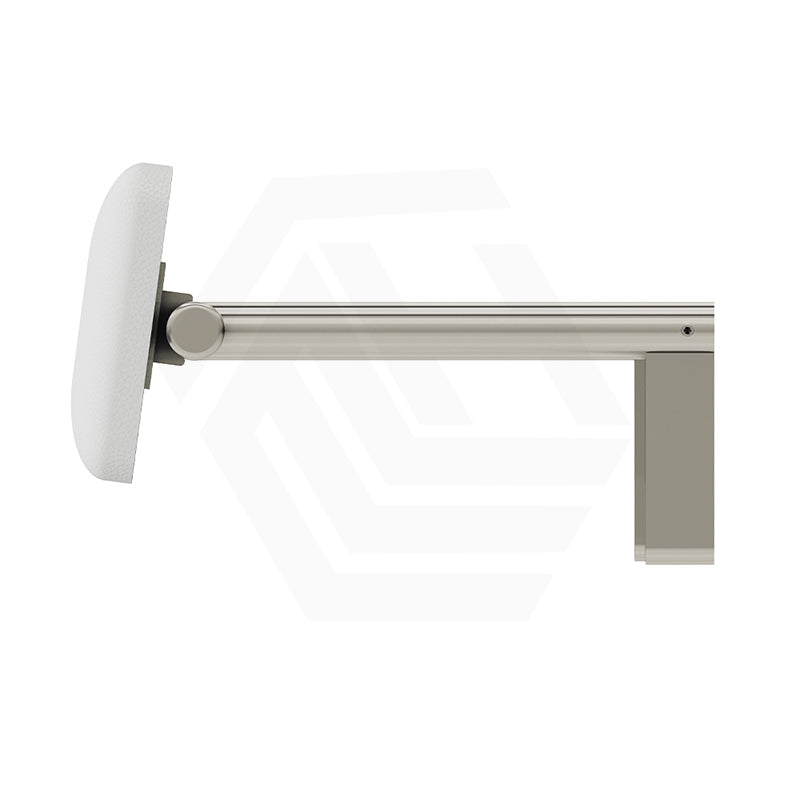 Fienza Stainless Steel Back Rest For Accessible Toilet Suites Variant Colour Available