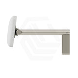 Fienza Stainless Steel Back Rest For Accessible Toilet Suites Variant Colour Available