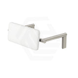 Fienza Stainless Steel Back Rest For Accessible Toilet Suites Variant Colour Available