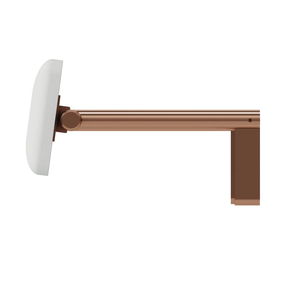 Fienza Stainless Steel Back Rest For Accessible Toilet Suites Variant Colour Available